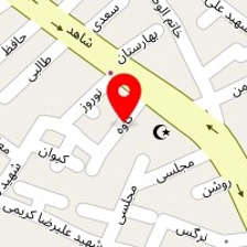 دکتر افسانه استکی