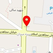 دکتر ناهید لرزاده