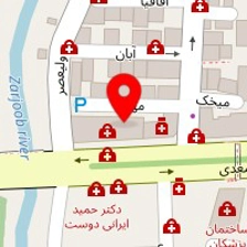 دکتر حسین حسن نیا