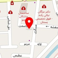 دکتر مهدی دشت بزرگی