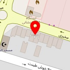 مسکن آشیانه پونک