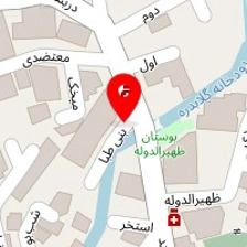مشاورین املاک پل