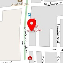 دگتر رضا گاپله