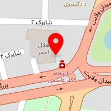 دکتر مینا مطلب نژاد