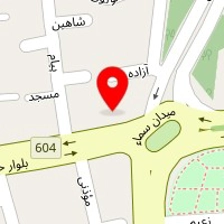 مسکن نگین