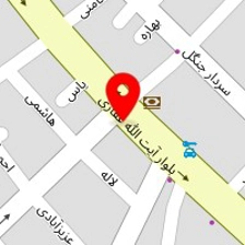 سالن زیبایی تی گل