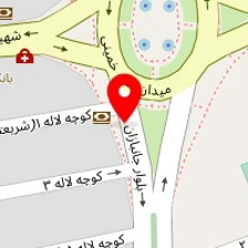 دکتر لیدا وزیری