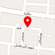 دکتر وحیده هاشمی