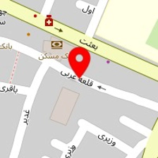 دکتر پژمان نادری