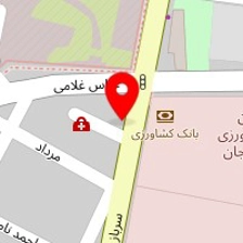 دکتر مریم شکور