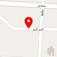 دکتر شقایق استرکی