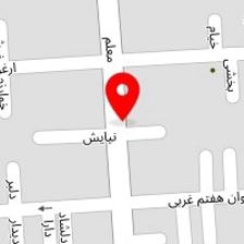 دکتر لیلا رییسی