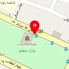 دکتر سریه صادق پور