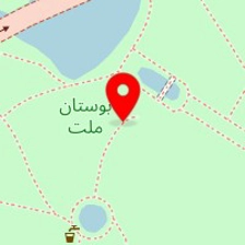 دکتر علی رفیعی