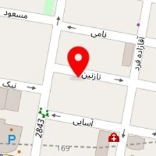 دکتر مهناز استکی