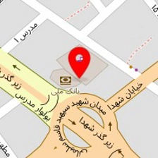 دکتر علی علی پور