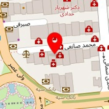 دکتر مهدی علی محمدی