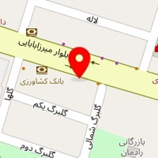دکتر مهری رحمانی