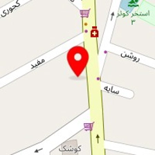 روانشناس سالومه منصف