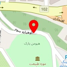 دکتر علیرضا جیلاردی