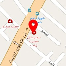 دکتر نفیسه سهیلی پور