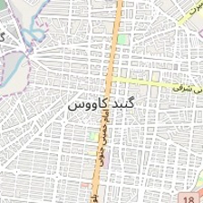 دکتر فاخره طاهری