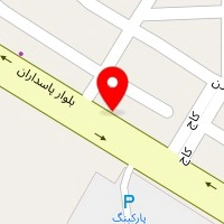 دکتر فریبا منصوری