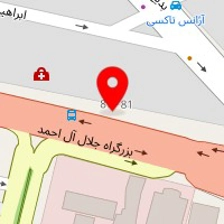 دکتر فرزانه شجری