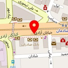 روانشناس آذر آل هاشم
