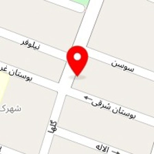 روانشناس زهرا رفیعی