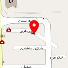 روانشناس میترا امیری
