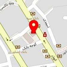 دکتر پریسا رسولی