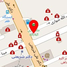 دکتر فرزانه حاجی زاده