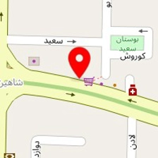 روانشناس شیلا صومی