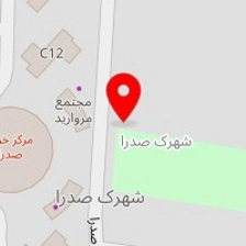دکتر آمنه عالی