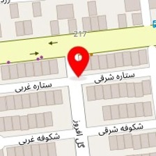 روانشناس مرضیه حیدری
