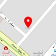 دکتر صدیقه افشارزاده