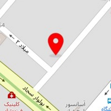 دکتر صدیقه افشارزاده