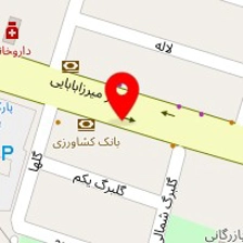 روانشناس مریم امینی