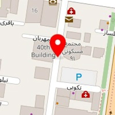 دکتر شهلا احمدی
