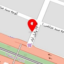 دکتر منصوره پاکدامن