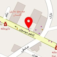 دکتر فروزان چیذری