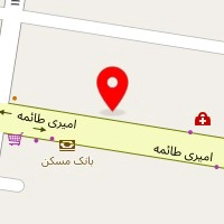 دکتر حکیمه محمدپور
