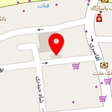روانشناس شیرین علایی فر