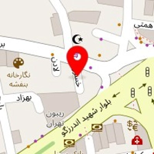روانشناس زهرا وحیدی