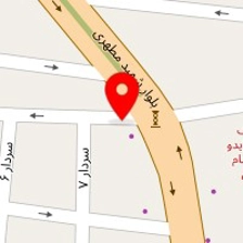 دکتر زهرا هاشمی