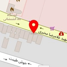 دکتر صدیقه گوزل