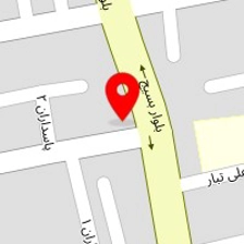 دکتر نازنین فریدونی