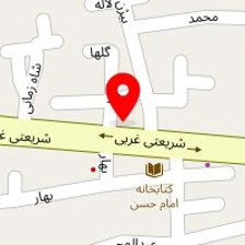 دکتر مینو موحدی
