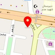 روانشناس سالومه حسین شیری